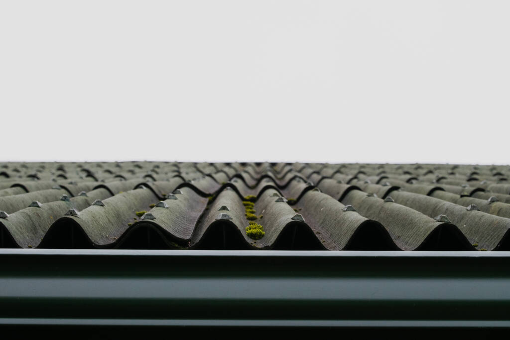 Cheap old roof with moss. Moss on roof