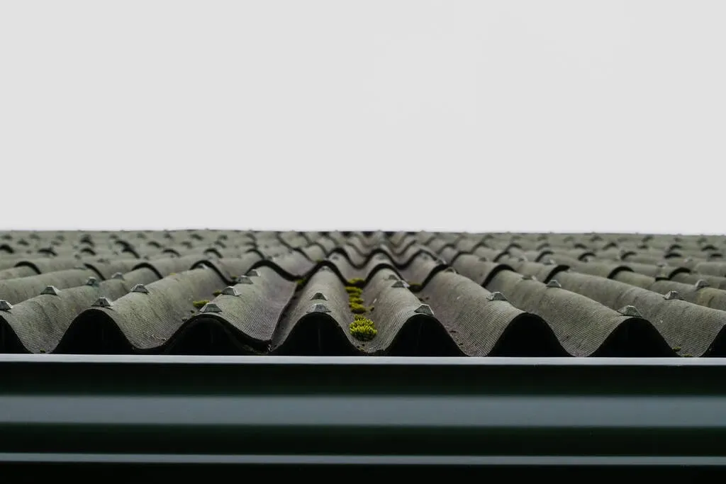 Cheap old roof with moss. Moss on roof