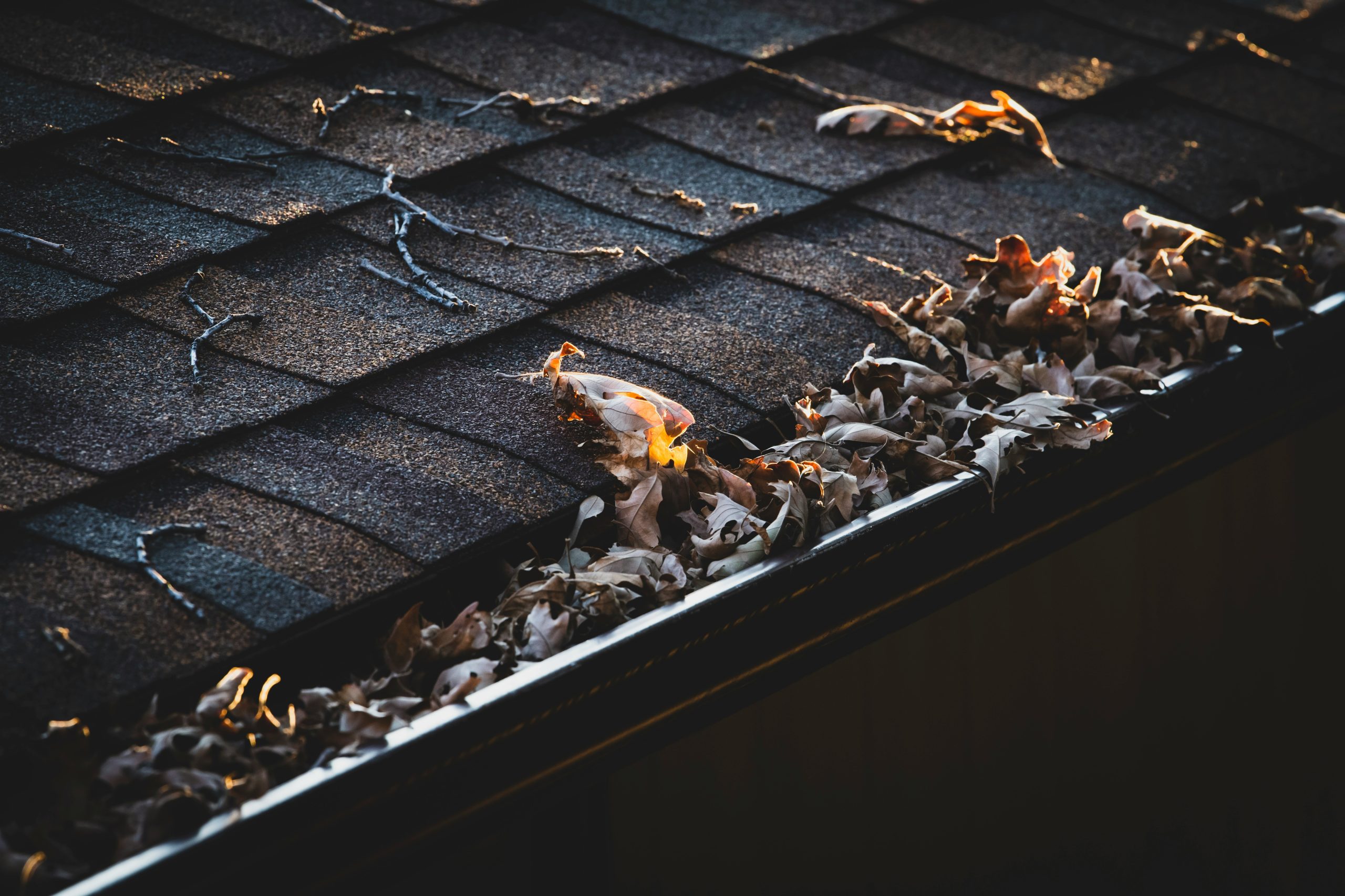 roof repairs Frankston